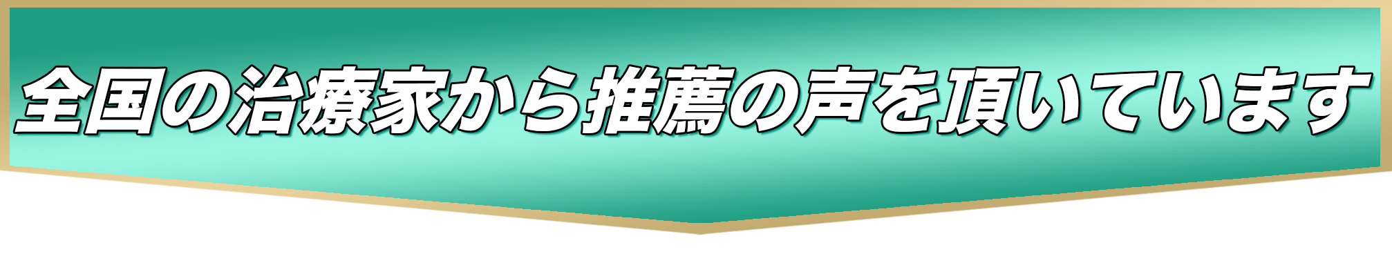 全国の治療家から推薦の声を頂いています